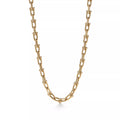 [Camiery] TF Pulse Necklace - Medium Link (Yellow Gold)